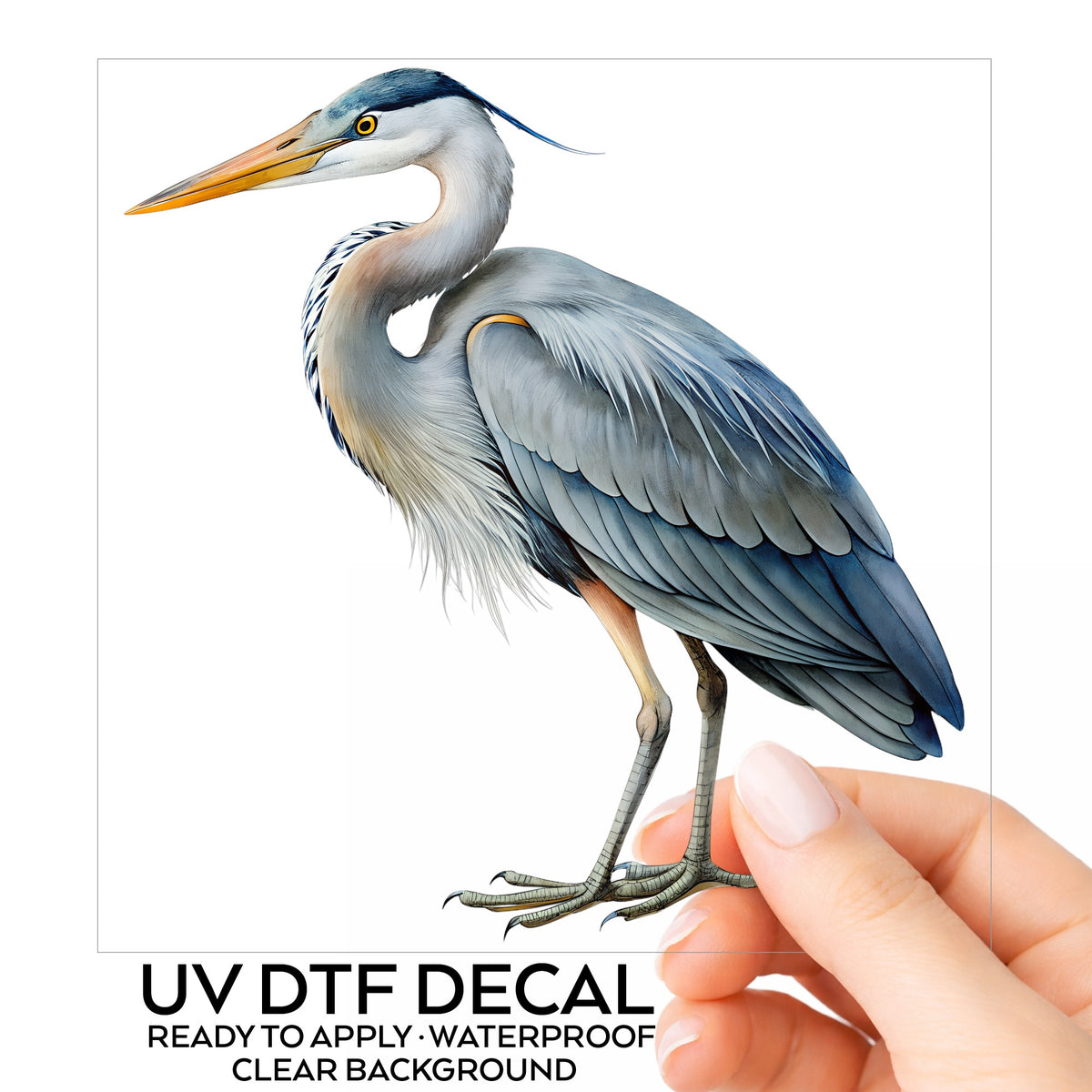 Great Blue Heron UV DTF sticker on its backing card, held in hand