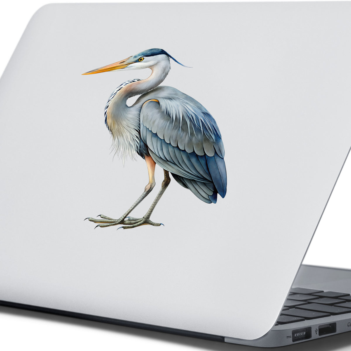 Great Blue Heron UV DTF sticker applied to the lid of a silver laptop