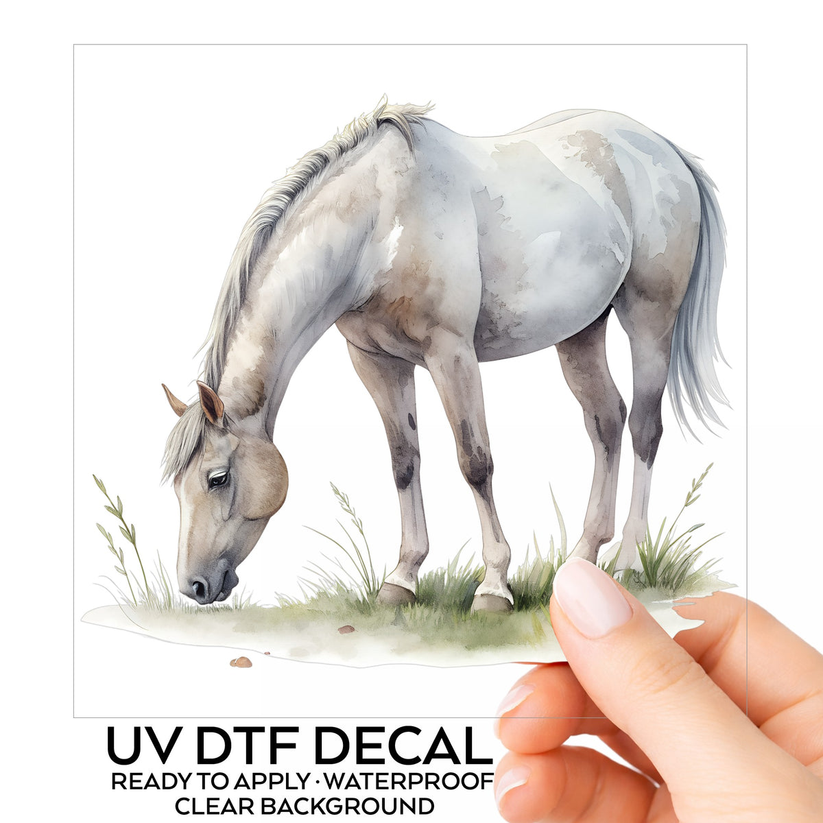 Gray Horse Grazing On Grass UV DTF sticker on its backing card, held in hand