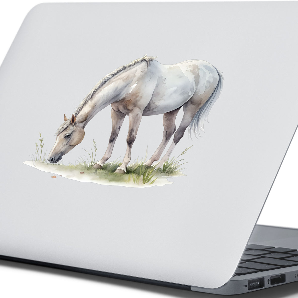Gray Horse Grazing On Grass UV DTF sticker applied to the lid of a silver laptop