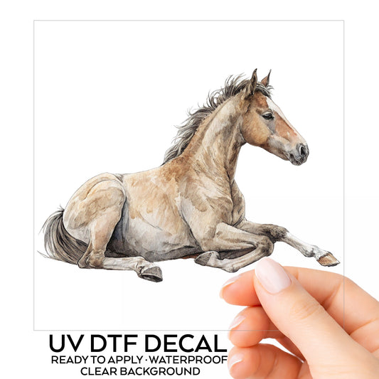 Buckskin Foal Lying Down UV DTF sticker on its backing card, held in hand
