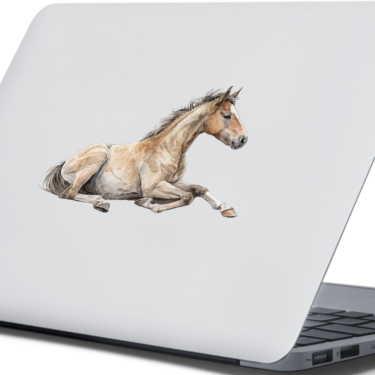 Buckskin Foal Lying Down UV DTF sticker applied to the lid of a silver laptop