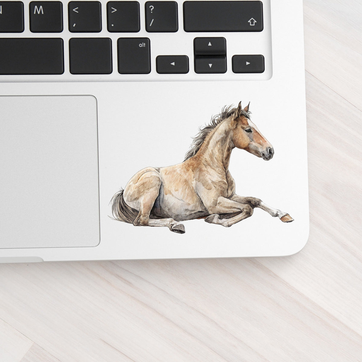 Buckskin Foal Lying Down UV DTF sticker applied to a silver laptop beside the keyboard