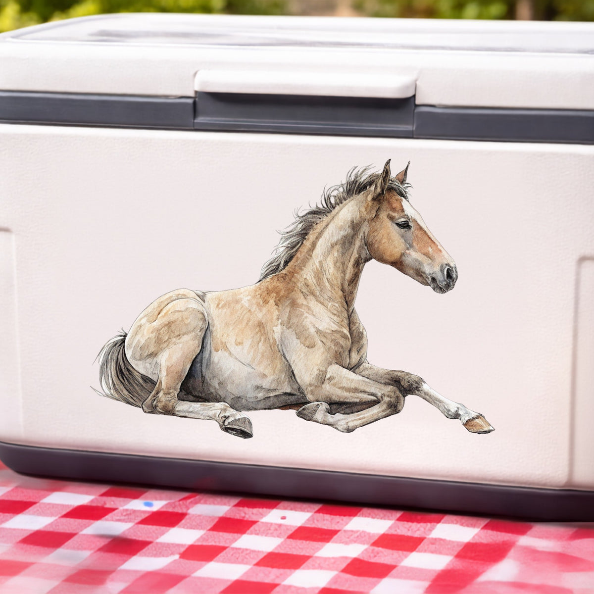 Buckskin Foal Lying Down UV DTF sticker applied to a white cooler on a red gingham cloth