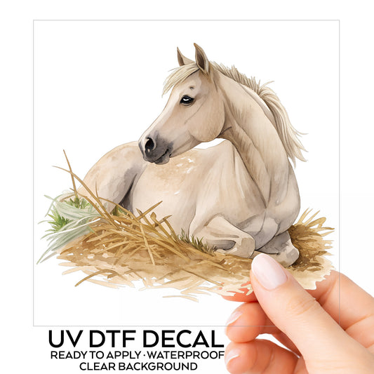 Cream Horse Resting In Hay UV DTF sticker on its backing card, held in hand