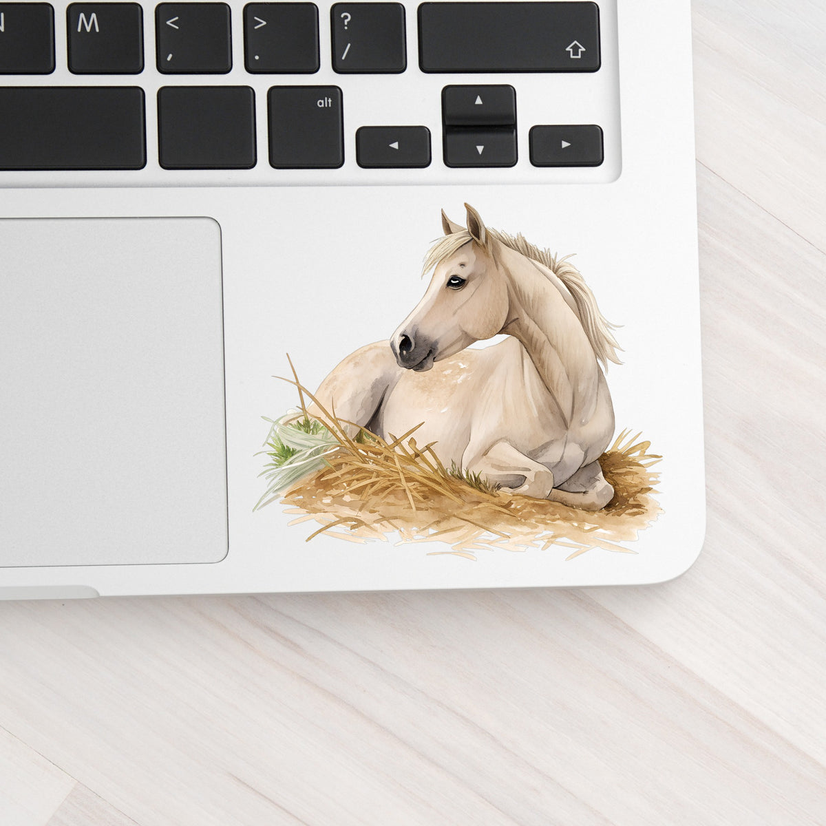 Cream Horse Resting In Hay UV DTF sticker applied to a silver laptop beside the keyboard