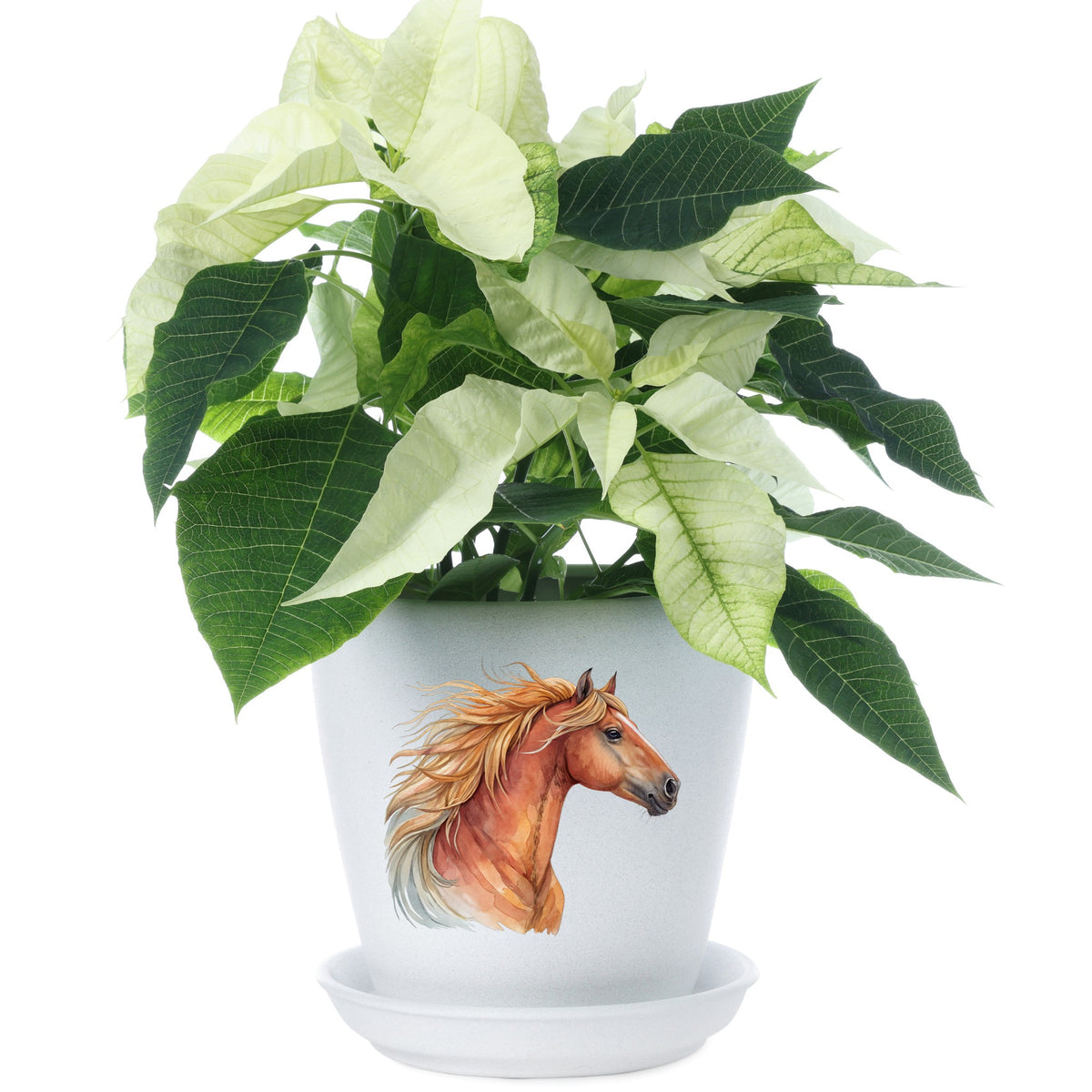 Chestnut Horse Head Golden Mane UV DTF sticker applied to a white flower pot
