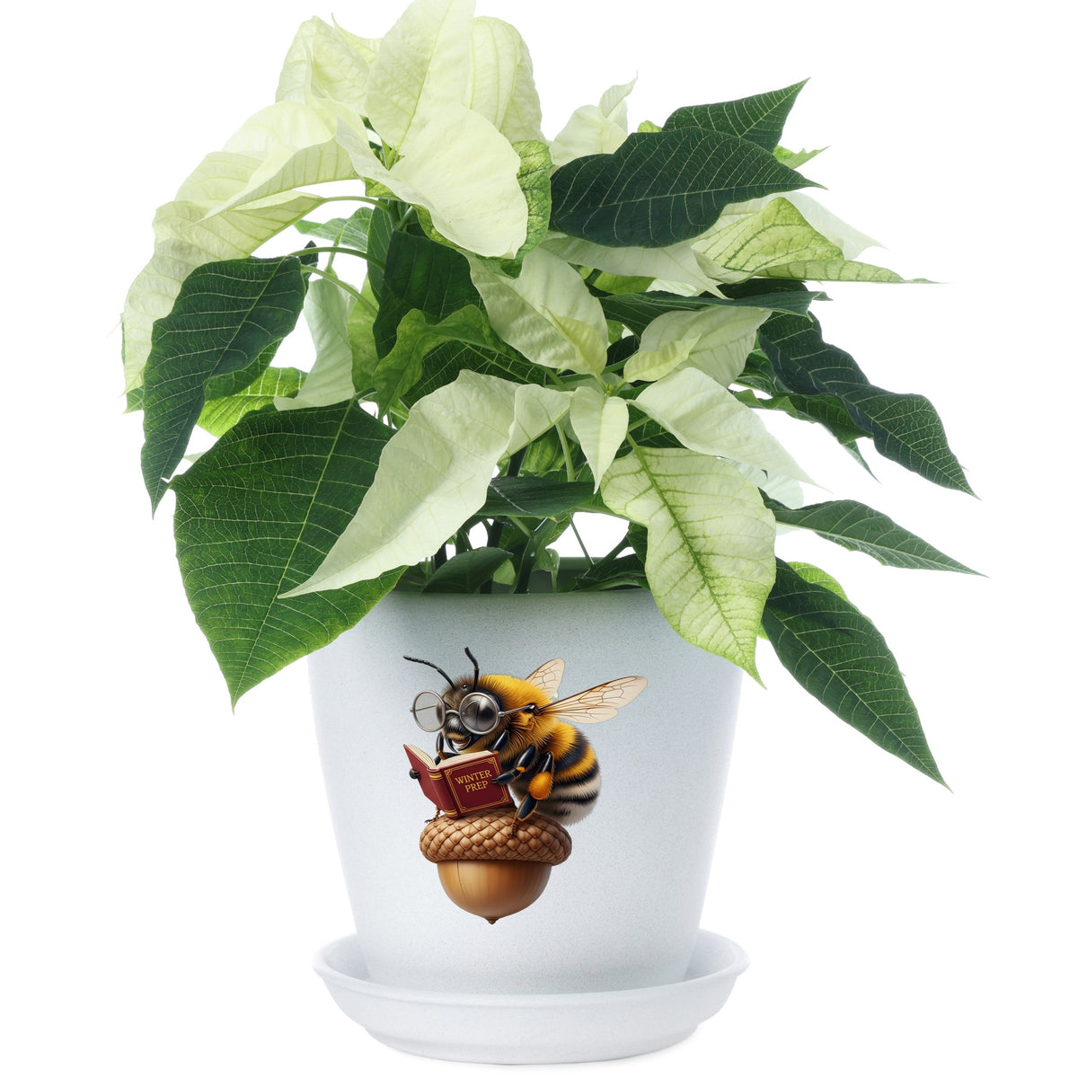 Bee Reading Book On Acorn UV DTF sticker applied to a white flower pot