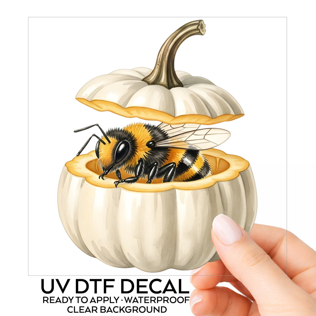 Sleepy Bee Inside White Pumpkin UV DTF sticker on its backing card, held in hand