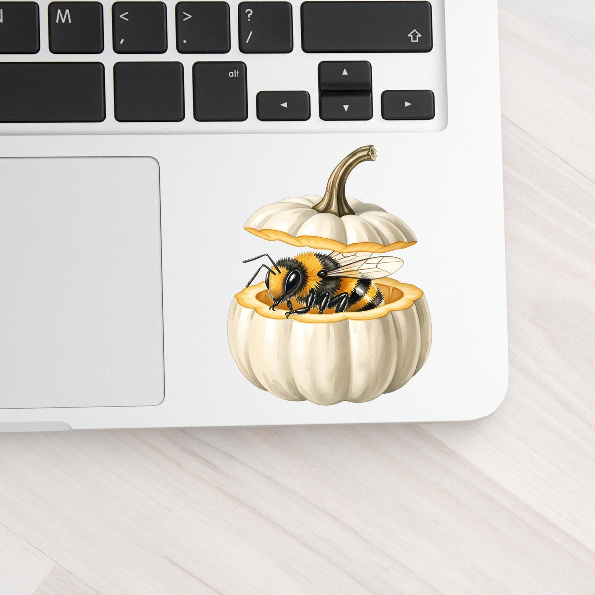 Sleepy Bee Inside White Pumpkin UV DTF sticker applied to a silver laptop beside the keyboard