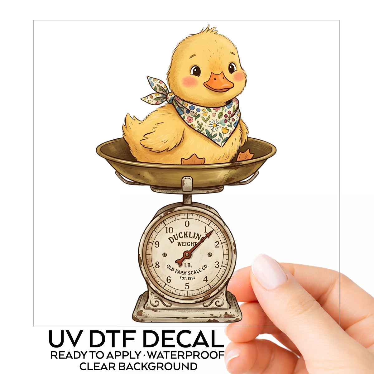 Duckling On Vintage Farm Scale UV DTF sticker on its backing card, held in hand