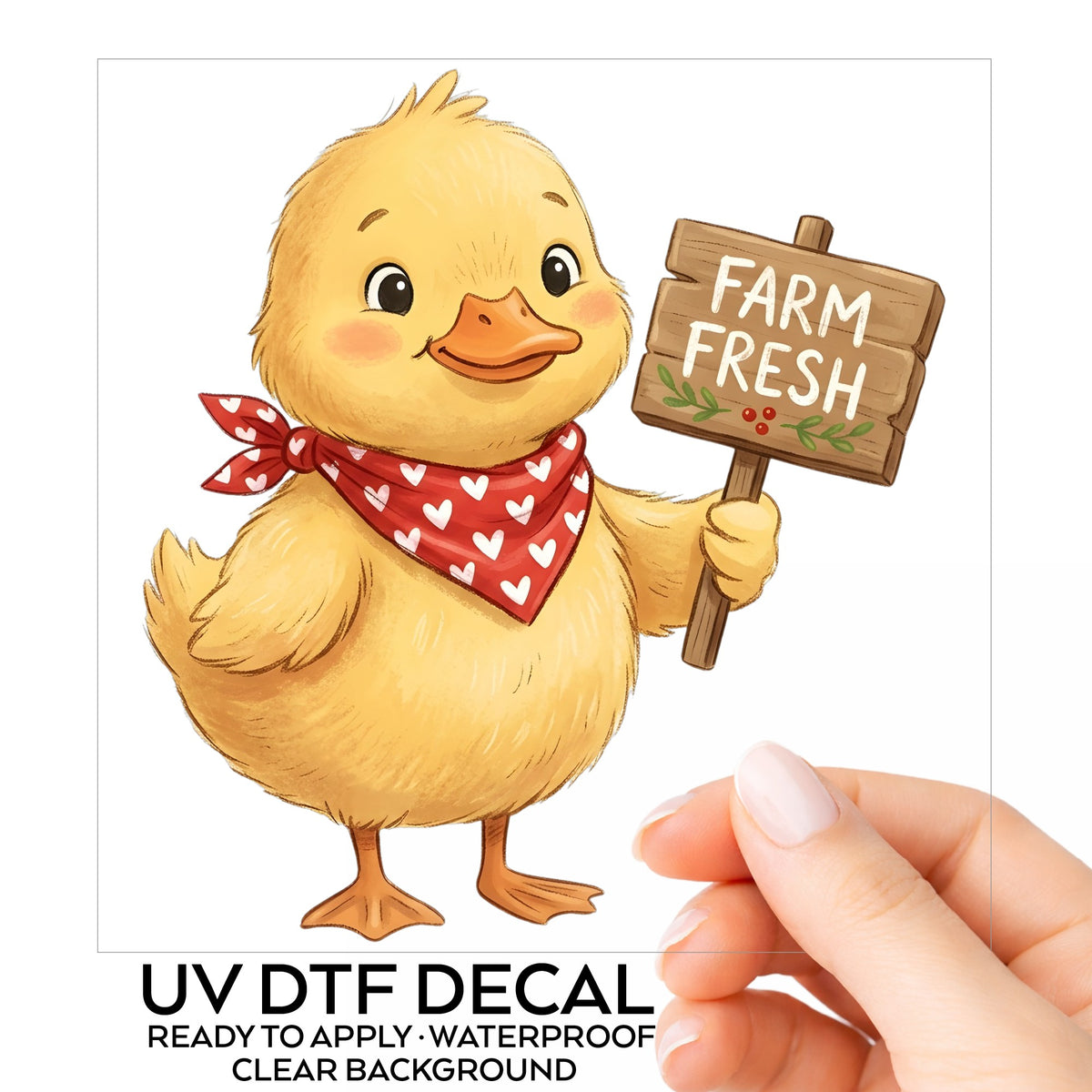 Duckling With Farm Fresh Sign UV DTF sticker on its backing card, held in hand