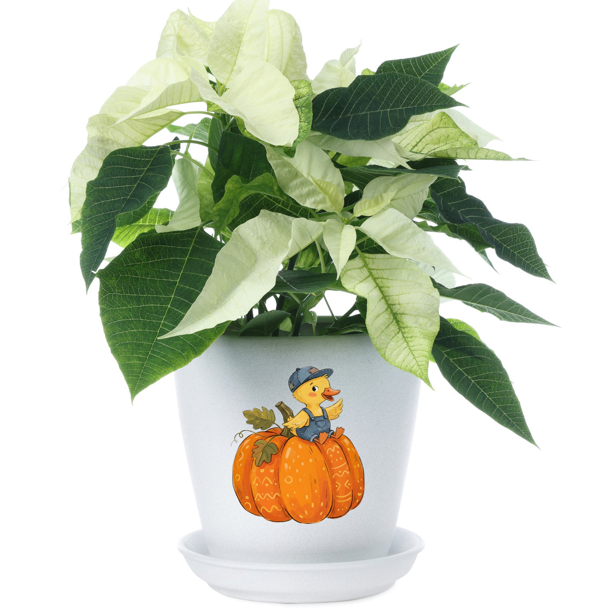 Duckling In Overalls On Pumpkin UV DTF sticker applied to a white flower pot
