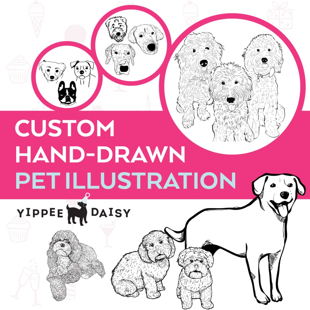 Hand Drawn Pet Illustration - Illustration