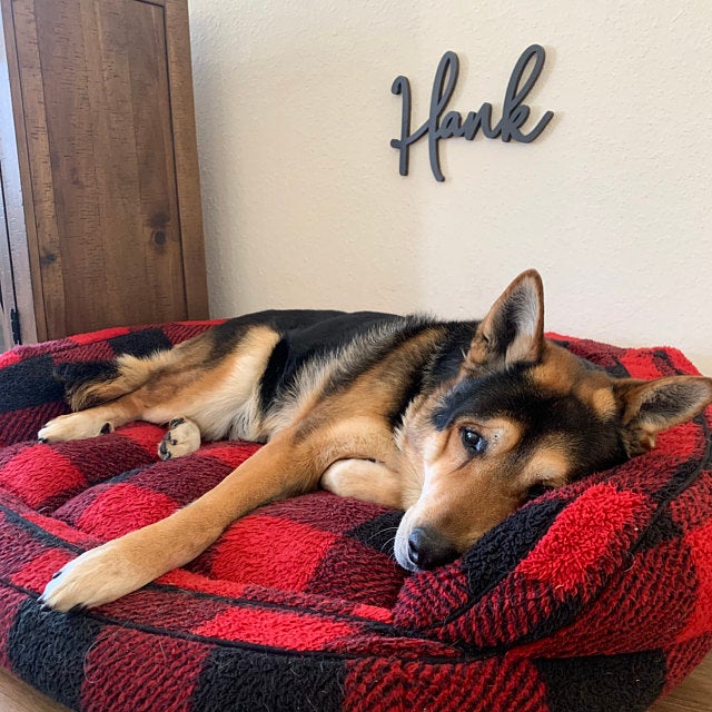 dog name sign